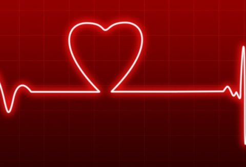 love-313417_960_720